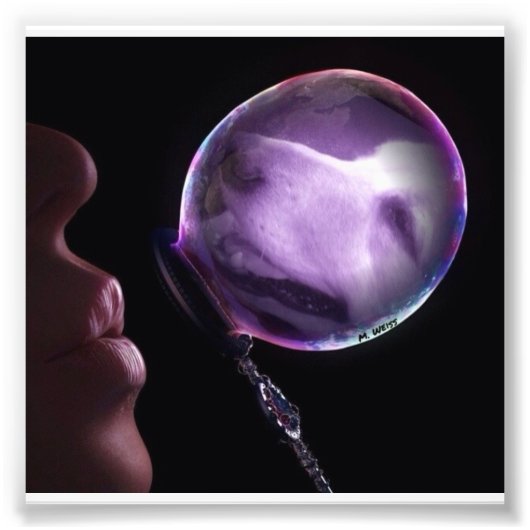 Golden in een bubbeltje foto afdruk (Voorkant)