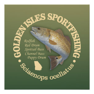 Golden Isles (roodbaars) Perfect Poster