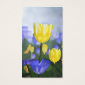 Golden Jubilee-Bladwijzer Visitekaartje (Achterkant)