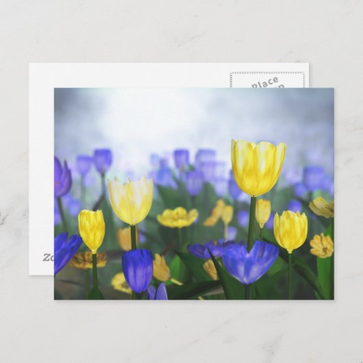 Golden Jubilee Briefkaart (Voorkant / Achterkant)