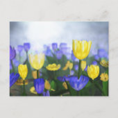 Golden Jubilee Briefkaart (Voorkant)