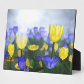 Golden Jubilee Plaque Fotoplaat (Zijkant)