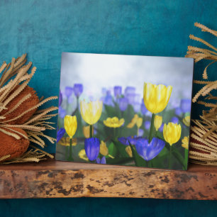 Golden Jubilee Plaque Fotoplaat