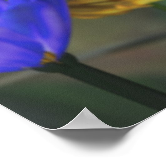 Golden Jubilee Print (Hoek)