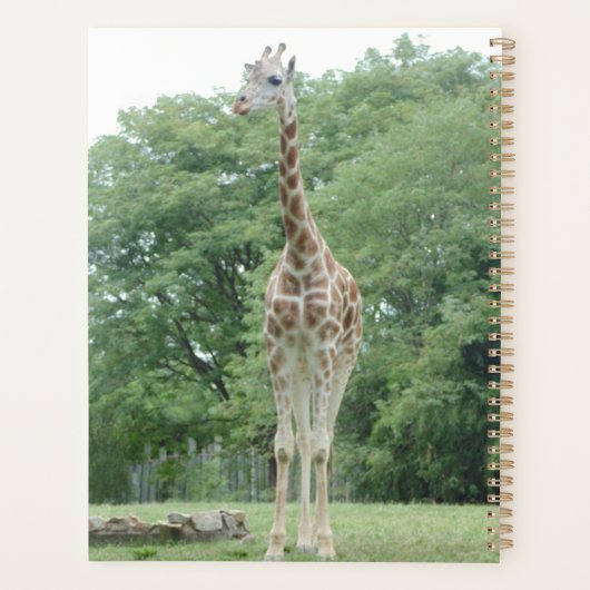 Golden Jubileum Planner (Achterkant)