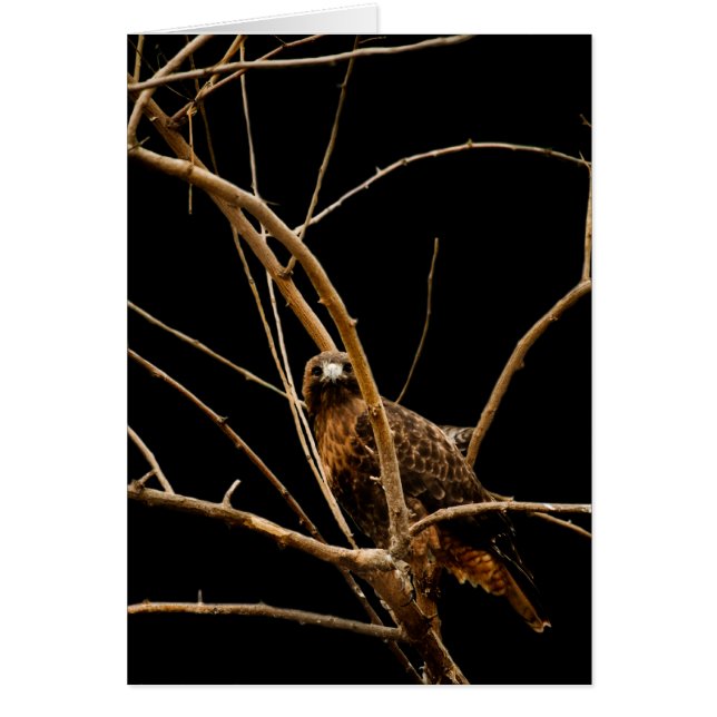 Golden Kaart (Voorkant)