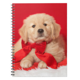 Golden Kerstpuppy Red Bow Notitieboek
