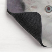 Golden Kitten Mousepad Muismat (Hoek)