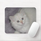 Golden Kitten Mousepad Muismat (Met muis)