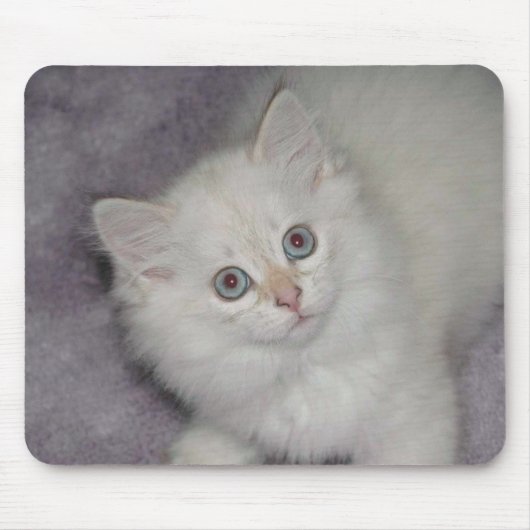 Golden Kitten Mousepad Muismat (Voorkant)