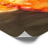 Golden Koi Swimming Fish Foto Poster (Hoek)