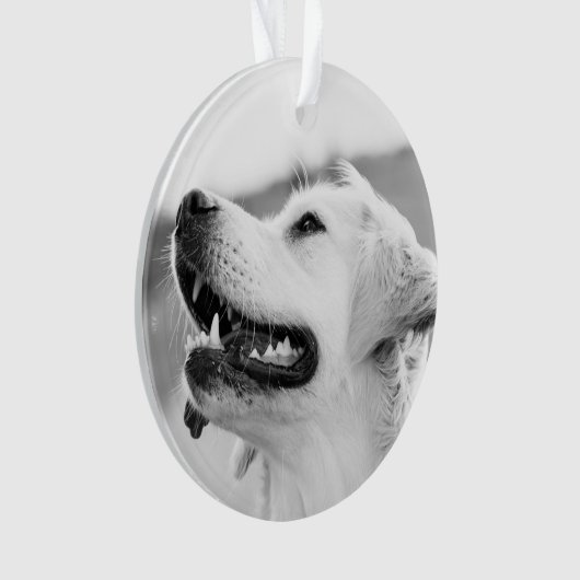 Golden Lab aanpasbaar kerstfeest Ornament (voorkant)