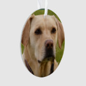 Golden Lab aanpasbaar kerstfeest Ornament (voorkant)