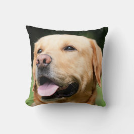 Golden Lab - de sol van een hond Kussen