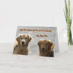 Golden Lab Friends Birthday Kaart<br><div class="desc">Twee Golden Labrador Retrievers samen. Jong en oud,  vrienden voor het leven!  "Het ziet ernaar uit dat Samson zijn jaarlijkse grooming kreeg" "Ja,  tijdvliegen" "Happy Birthday. Behandel jezelf naar iets moois!"</div>