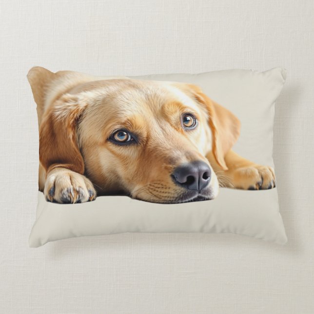 Golden Lab Pillow  Accent Kussen (Voorkant)