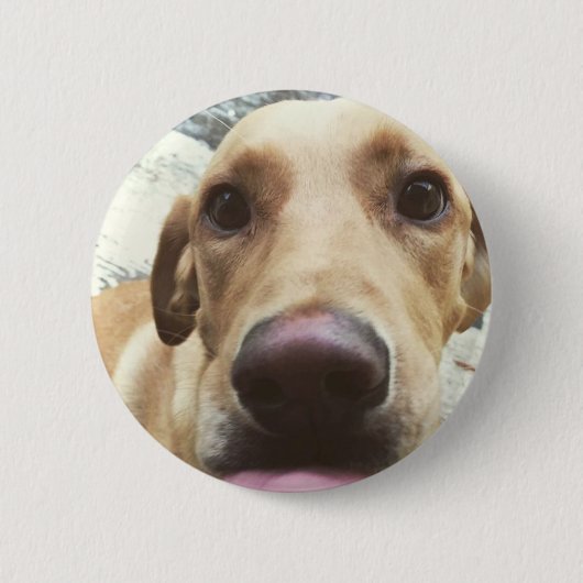 Golden Lab Ronde Button 5,7 Cm (Voorkant)