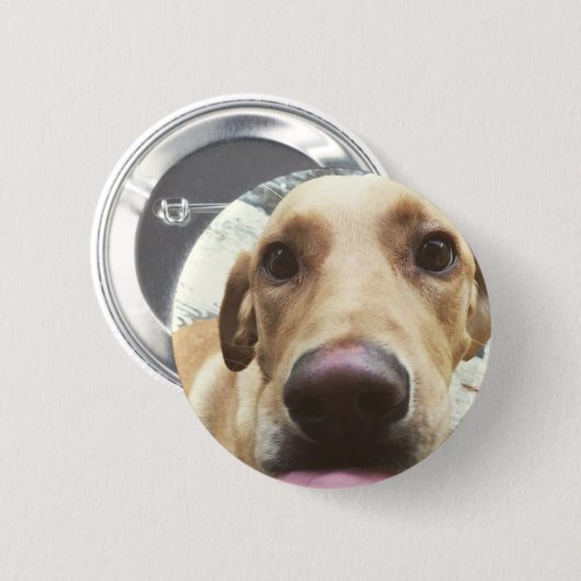 Golden Lab Ronde Button 5,7 Cm (Voorkant /achterkant)
