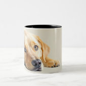 Golden Lab   Tweekleurige Koffiemok (Center)