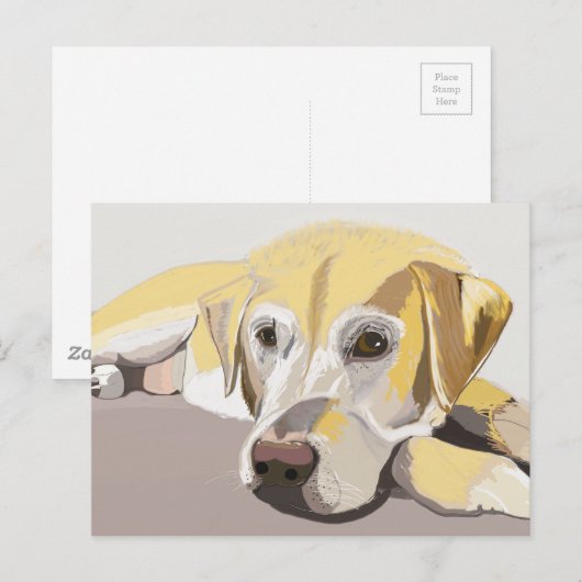 Golden Labrador Briefkaart (Voorkant / Achterkant)