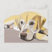Golden Labrador Briefkaart (Voorkant)