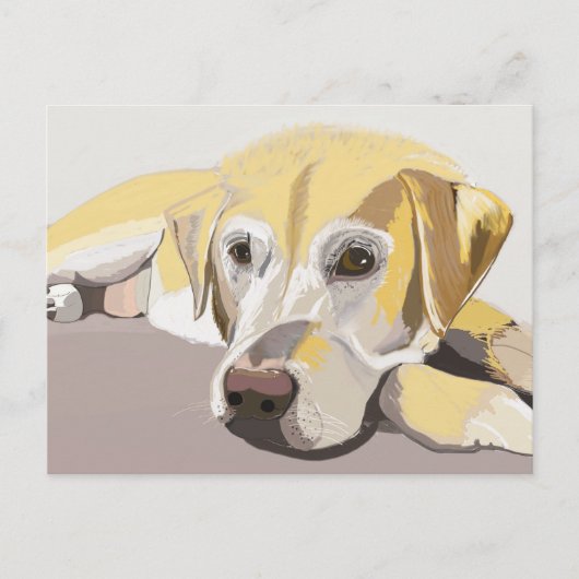 Golden Labrador Briefkaart (Voorkant)
