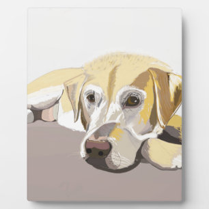 Golden Labrador Fotoplaat