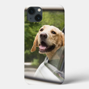 Golden Labrador in Achteruitkijkspiegel Case-Mate iPhone Case