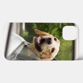 Golden Labrador in Achteruitkijkspiegel Case-Mate iPhone Case (Achterkant (horizontaal))