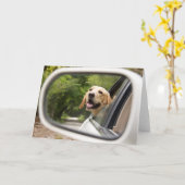 Golden Labrador in Achteruitkijkspiegel Kaart (Gele Bloem)