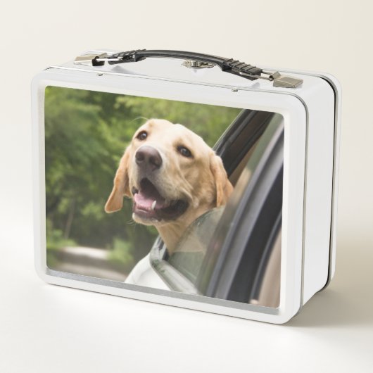 Golden Labrador in Rearview Mirror (Achterkant)