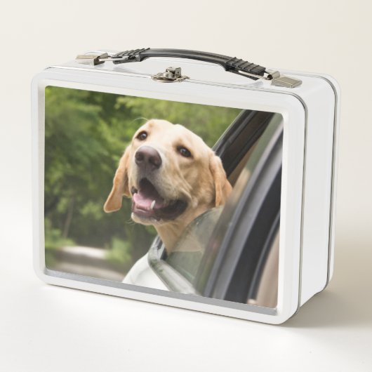 Golden Labrador in Rearview Mirror (Voorkant)