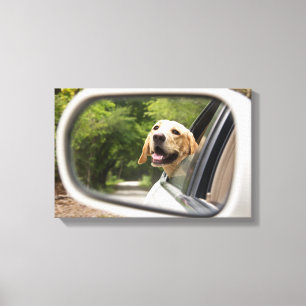 Golden Labrador in Rearview Mirror Canvas Afdruk