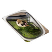 Golden Labrador in Rearview Mirror Magneet (Rechterzijde)