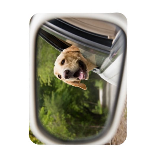 Golden Labrador in Rearview Mirror Magneet (Verticaal)