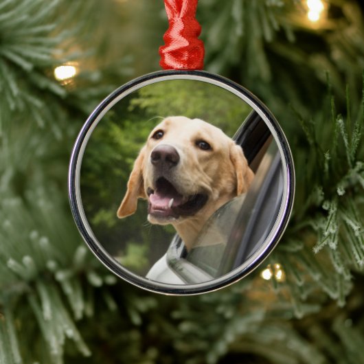 Golden Labrador in Rearview Mirror Metalen Ornament (Boom)