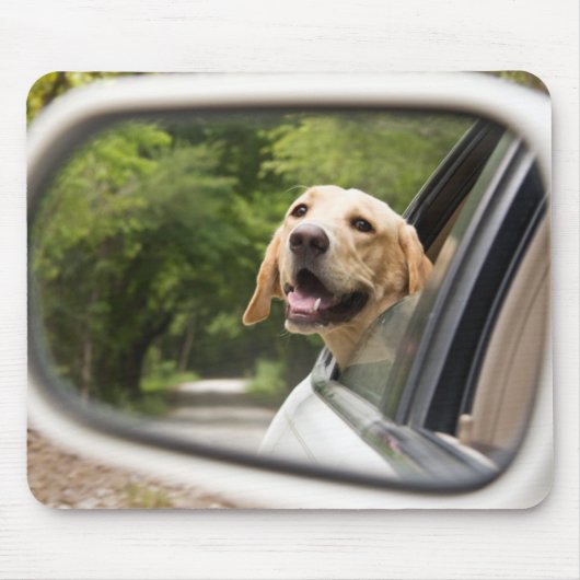 Golden Labrador in Rearview Mirror Muismat (Voorkant)