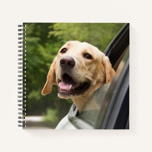 Golden Labrador in Rearview Mirror Notitieboek (Voorkant)