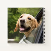 Golden Labrador in Rearview Mirror Notitieboek (Achterkant)