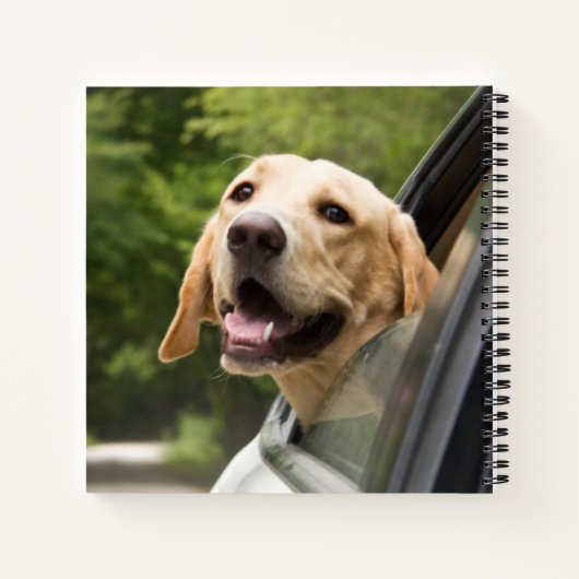 Golden Labrador in Rearview Mirror Notitieboek (Achterkant)