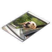 Golden Labrador in Rearview Mirror Notitieboek (Linkerzijde)