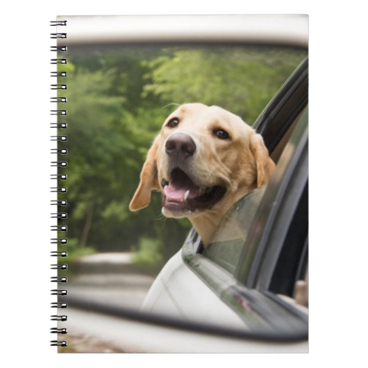 Golden Labrador in Rearview Mirror Notitieboek (Voorkant)
