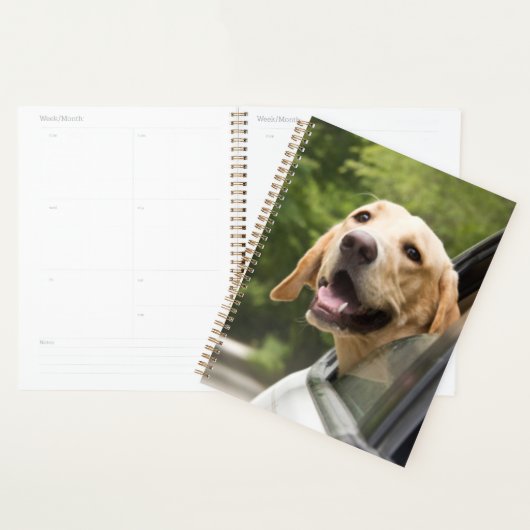 Golden Labrador In Rearview Mirror Planner (Display)