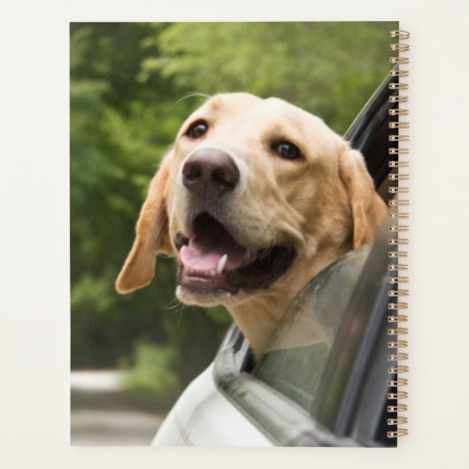 Golden Labrador In Rearview Mirror Planner (Achterkant)