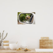 Golden Labrador in Rearview Mirror Poster (Keuken)