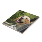 Golden Labrador in Rearview Mirror Tegeltje (Zijkant)