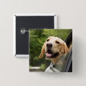 Golden Labrador in Rearview Mirror Vierkante Button 5,1 Cm (Voorkant /achterkant)