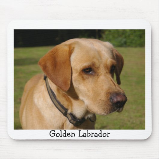 Golden Labrador Muismat (Voorkant)