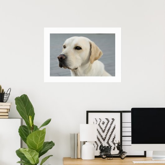 Golden Labrador Poster (Thuiskantoor)