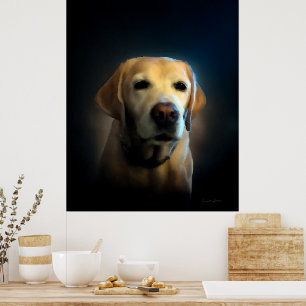 Golden Labrador Poster